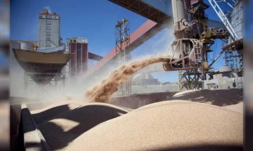La baja de retenciones disparó la liquidación de granos