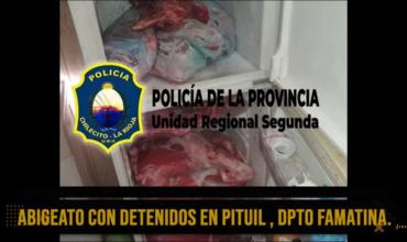 Famatina: 3 detenidos en allanamientos en Pituil y Campanas por robo y faenamiento de animales