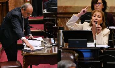 Francos no volvió al Congreso a completar su informe y la senadora del escándalo pidió su renuncia