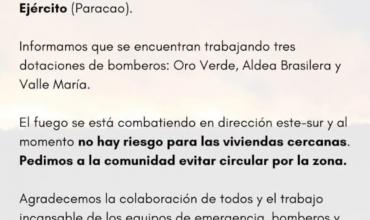 Incendio en campos del Ejército en Entre Ríos: intenso operativo para contener las llamas