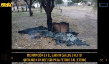 Indignación en el barrio Carlos Onetto: vándalos incendiaron un refugio para perros callejeros