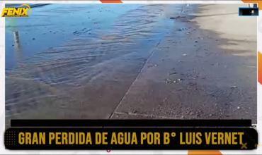 NotiDenuncia Fénix: Importante pérdida de agua afecta a más de 20 cuadras en zona sur