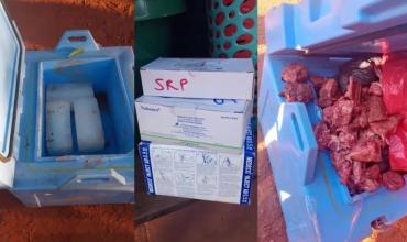 Escándalo sanitario en Bolivia: transportistas cambiaron vacunas contra el sarampión por carne