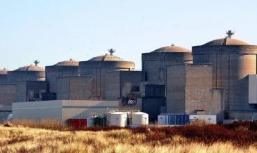 Invasión gelatinosa: medusas obligan a cerrar una central nuclear en Francia