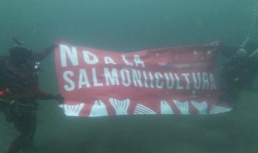 Controversia en Tierra del Fuego por proyecto que busca habilitar salmoneras