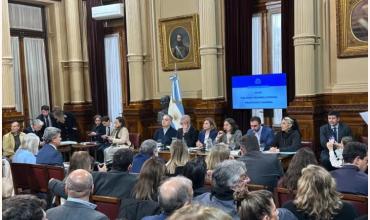 El Senado se prepara para dictaminar el financiamiento universitario y la emergencia pediátrica