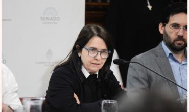 Polémicos dichos de una senadora del PRO: “No creo que los niños argentinos tengan derecho a venir al Garrahan a ser curados”