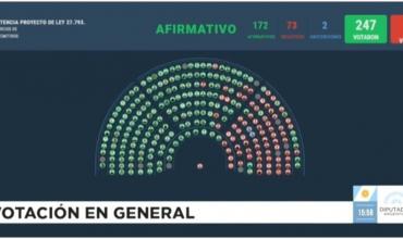 Uno por uno, cómo votaron los diputados la Emergencia en Discapacidad, que fue ratificada y pasó al Senado