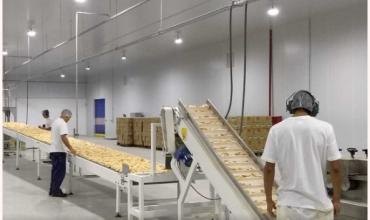 La Argentina podría ser una superpotencia alimenticia, pero lleva 12 años estancada: el plan que las empresas le llevarán al Gobierno