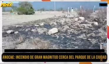 Por el incendio en la zona del Parque de la Ciudad, la policía busca a los responsables