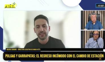 Mauro Signore: “Con el calor se reproducen más las pulgas y garrapatas”