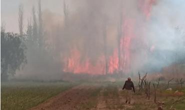 Incendio en Chaupihuasi consumió 14 hectáreas y habría sido provocado