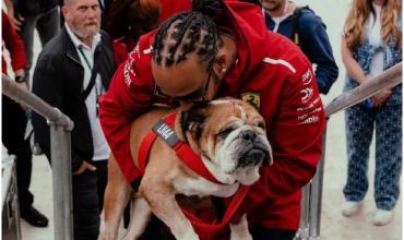 El doloroso motivo detrás de la ausencia de Lewis Hamilton en Mugello: "No sabemos si Roscoe va a despertar"