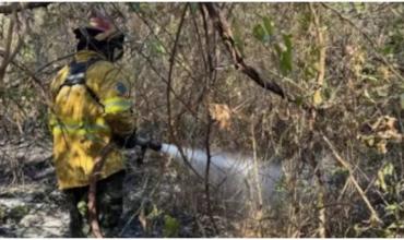 Alertan por el riesgo de incendios forestales en el norte y sur del país debido a la falta de humedad en el suelo