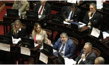 El kirchnerismo en el Senado desafía a Milei y quiere sesionar el jueves para ratificar la reforma de la ley de DNU