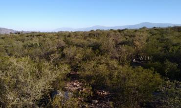 Hallazgo arqueológico en La Rioja: descubren el camino INCA más ancho de Argentina