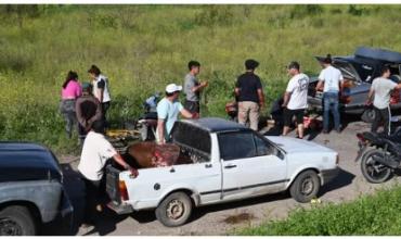 Volcó un camión jaula en San Pedro y vecinos carnearon las vacas en plena ruta 9