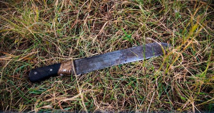 Locura en Córdoba: le cortó la oreja con un machete a su vecino porque le  estacionó el auto en la puerta de su casa