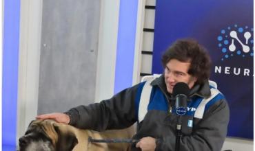 La implacable embestida judicial de Milei: tras Mengolini, ahora denunció a Rial y a Doman