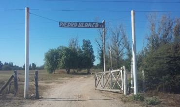 UATRE reclama falta de pago de sueldos a trabajadores de las empresas Piedra Blanca y Nortagro