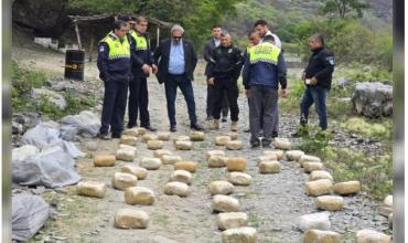 Golpe al narcotráfico: Secuestran más de 300 kilos de marihuana