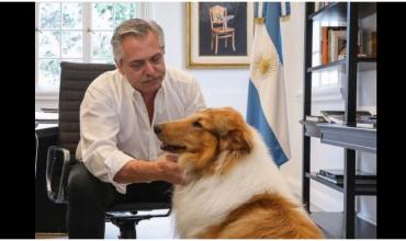 Murió Dylan, el perro de Alberto Fernández