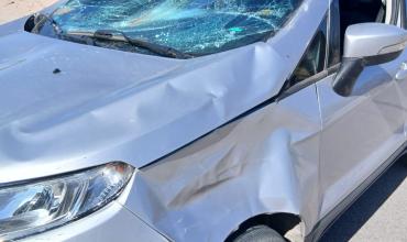 Una camioneta chocó contra un caballo en Aimogasta y el animal murió en el acto