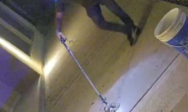 Una serpiente yarará apareció en la puerta de una vivienda en Av. Circunvalación