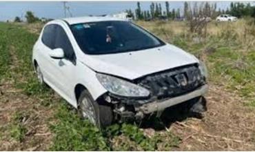 Un carpincho casi provoca una tragedia en Vivoratá