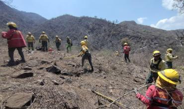 Investigan intencionalidad en los incendios: el municipio presentó una denuncia penal