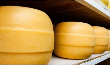 Un queso producido en Santa Fe ganó la medalla de plata en el Mundial de Suiza