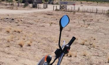 Tres perros fueron rescatados con vida tras caer a un estanque en Aminga