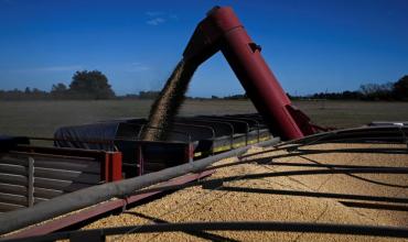 El Gobierno oficializó la baja de retenciones a la soja, el maíz y trigo: cómo quedan las alícuotas desde hoy