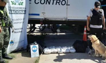 Interceptaron casi 11 kilos de marihuana en un colectivo que iba a La Rioja