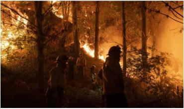 Incendio forestales: las llamas siguen avanzando con todo el verano por delante