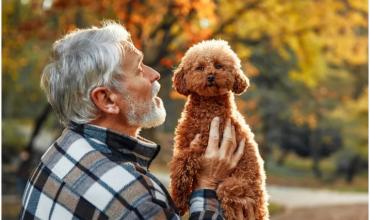 Qué es la caninoterapia, la terapia asistida que transforma la vida en los geriátricos porteños