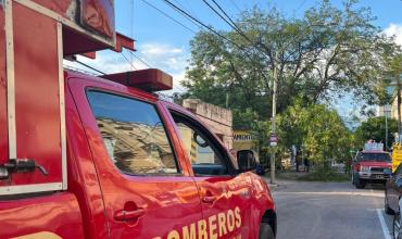 Corte total por caída de un gajo de gran tamaño en calle Buenos Aires