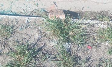 Robaron la batería de un auto tras romper el vidrio en el barrio Altos del Sol