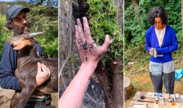 La pareja de artistas que perdió cinco casas y cuatro hectáreas de bosque nativo en los incendios de Epuyén: “No nos quedó nada”