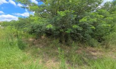 Fue a trabajar y la encontraron muerta bajo un árbol en Corrientes: investigan si se trató de un crimen