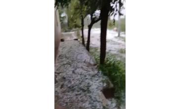 Chilecito: importante caída de granizo provocó daño en cultivos