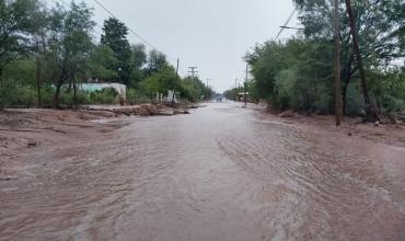 Desborde de defensa en la localidad de Las Talas: viviendas y ruta nacional afectadas por la crecida