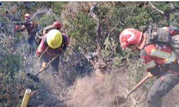 “Es imposible frenarlo”: los incendios en Chubut no dan tregua y ya consumieron más de 40 mil hectáreas