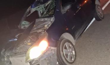 Aimogasta: una mujer perdió la vida al chocar con un animal suelto