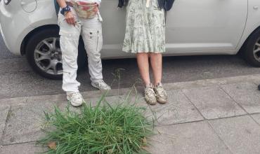 Salieron a la luz las imágenes de Ernestina Pais tras negarse a un control de alcoholemia