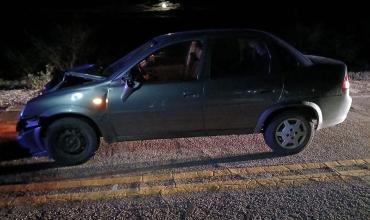 Una mujer sufrió fractura tras chocar contra un animal en la Ruta 75