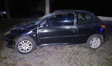 Automovilista chocó contra un caballo en la Ruta 40