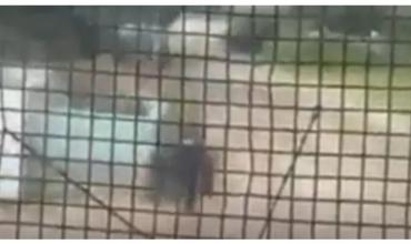 Un policía corrió con todas sus fuerzas y salvó a un niño de 3 años de ser arrollado por un tren