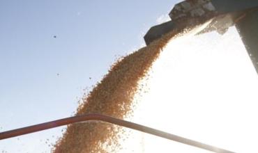 Récord agroexportador:  Argentina exportó 18,5 millones de toneladas en el primer bimestre, el mayor volumen en 10 años