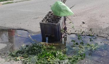 Barrio Vargas: registran más de un bache por cuadra y complicaciones en la circulación